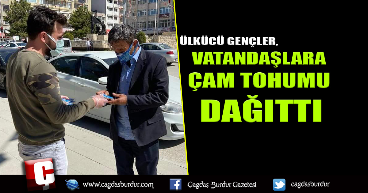 ÜLKÜCÜ GENÇLER, VATANDAŞLARA ÇAM TOHUMU DAĞITTI