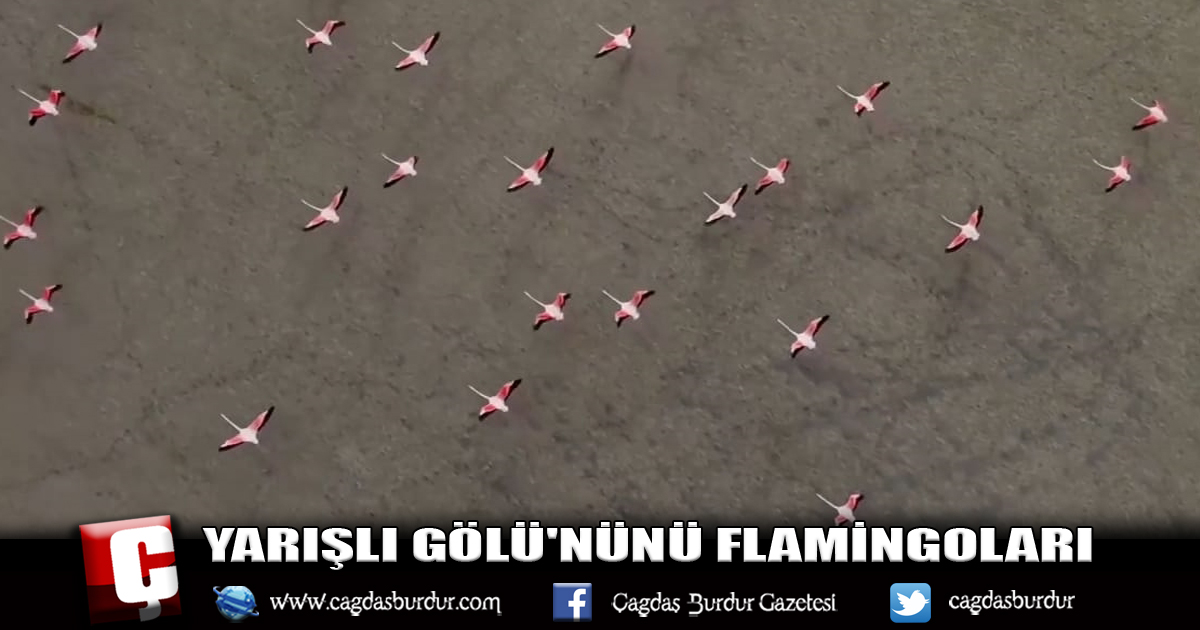 YARIŞLI GÖLÜ'NDEKİ FLAMİNGOLAR DRONE İLE GÖRÜNTÜLENDİ