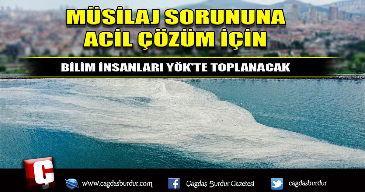 MARMARA DENİZİ'NDEKİ MÜSİLAJ SORUNUNA ACİL ÇÖZÜM İÇİN BİLİM İNSANLARI YÖK'TE TOPLANACAK