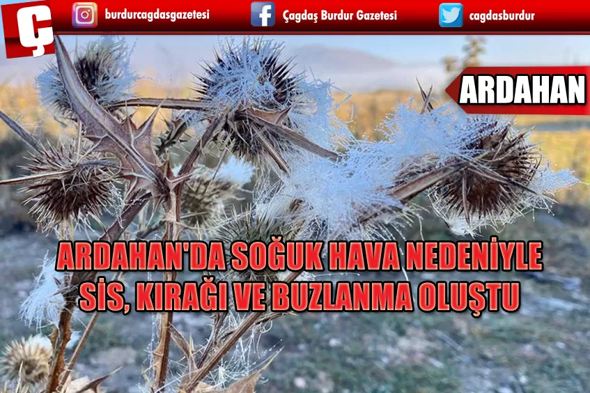 ARDAHAN'DA SOĞUK HAVA NEDENİYLE SİS, KIRAĞI VE BUZLANMA OLUŞTU