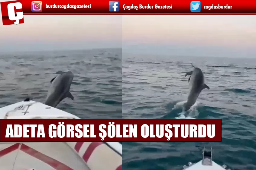  ANTALYA'DA BALIKÇIYA GÖSTERİ YAPAN YUNUS GÖRSEL ŞÖLEN OLUŞTURDU