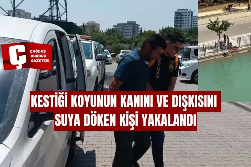 KESTİĞİ KOYUNUN KANINI VE DIŞKISINI SUYA DÖKEN KİŞİ YAKALANDI