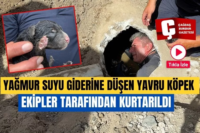 ISPARTA'DA YAĞMUR SUYU GİDERİNE DÜŞEN YAVRU KÖPEK KURTARILDI