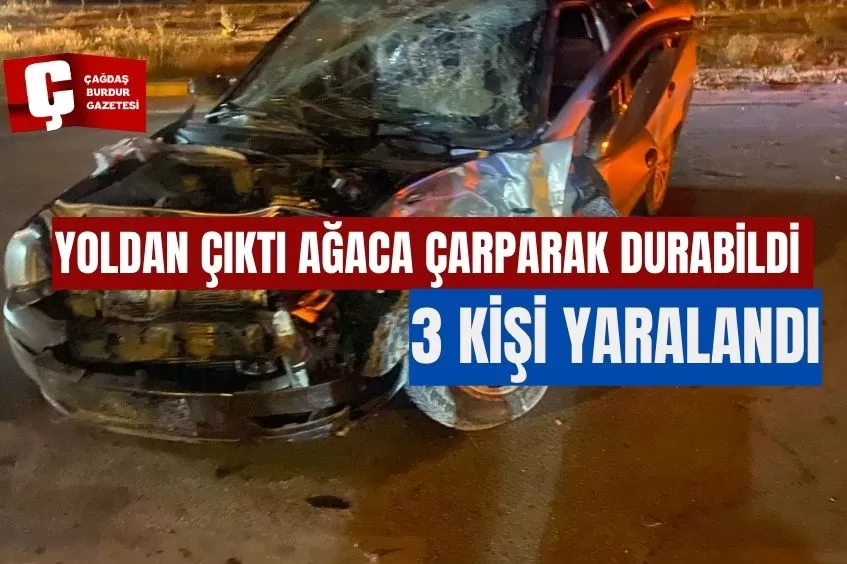 YOLDAN ÇIKTI AĞACA ÇARPARAK DURABİLDİ 