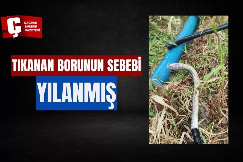 TARLASINI SULAMAK İSTEYEN ÇİTÇİNİN TIKANAN BORUSUNDAN YILAN ÇIKTI