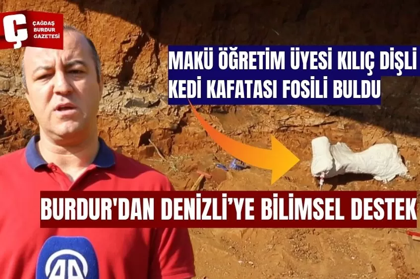 MEHMET AKİF ERSOY ÜNİVERSİTESİ ÖĞRETİM ÜYESİ, DENİZLİ'DE KILIÇ DİŞLİ KEDİ KAFATASI FOSİLİ BULDU