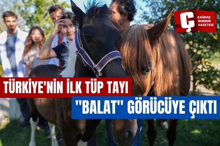 TÜRKİYE'NİN İLK TÜP TAYI 