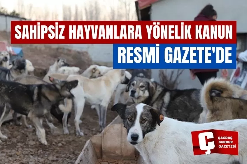 SAHİPSİZ HAYVANLARA YÖNELİK DÜZENLEMELER İÇEREN KANUN RESMİ GAZETE'DE