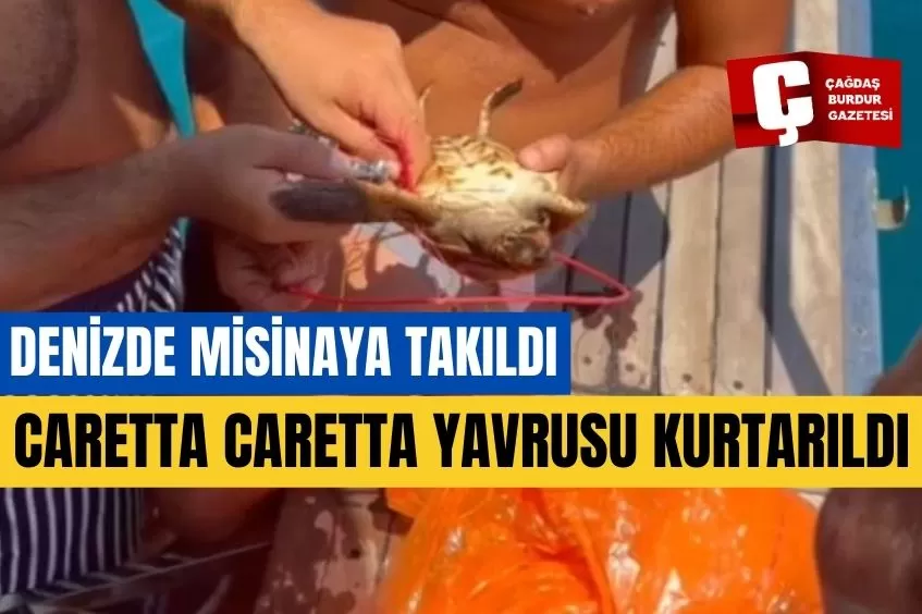 ANTALYA'DA DENİZDE MİSİNAYA TAKILAN CARETTA CARETTA YAVRUSU KURTARILDI