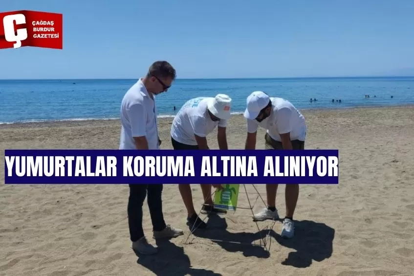 TURİZM MERKEZİ KUNDU'DA CARETTA CARETTA SEFERBERLİĞİ