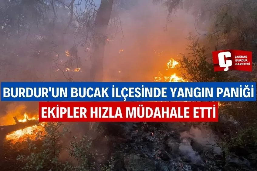 BURDUR’DA ÇIKAN ORMAN YANGINI KONTROL ALTINA ALINDI