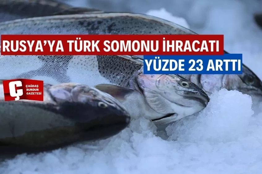 TÜRK SOMONU 45 ÜLKEDE ALICI BULDU