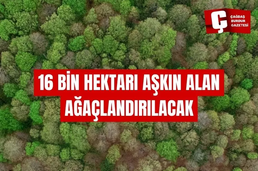 YIL SONUNA KADAR 16 BİN HEKTARI AŞKIN ALANDA AĞAÇLANDIRMA YAPILACAK