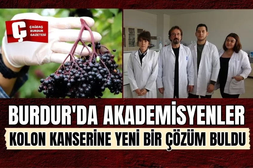 BURDUR'DA AKADEMİSYENLER, KARA MÜRVER MEYVESİYLE KOLON KANSERİNE YENİ BİR ÇÖZÜM BULDU