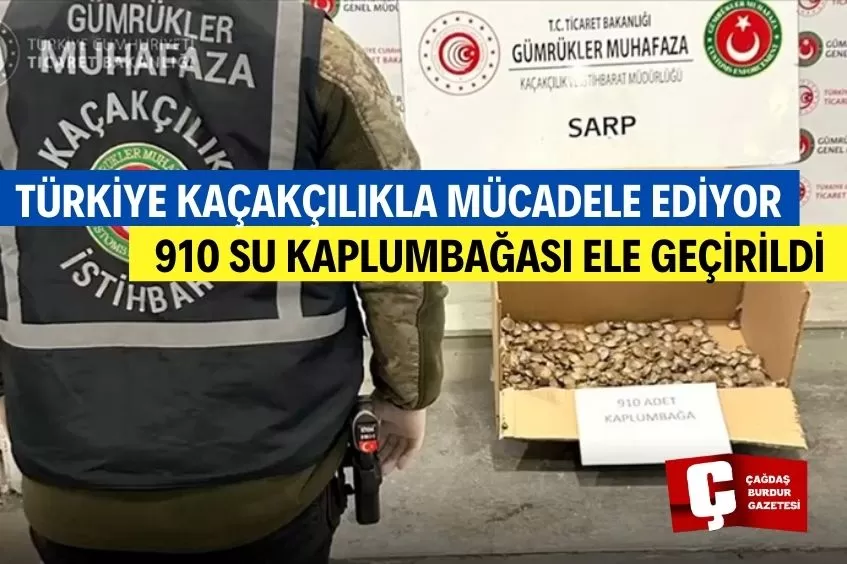 SARP GÜMRÜK KAPISI'NDA 910 SU KAPLUMBAĞASI ELE GEÇİRİLDİ