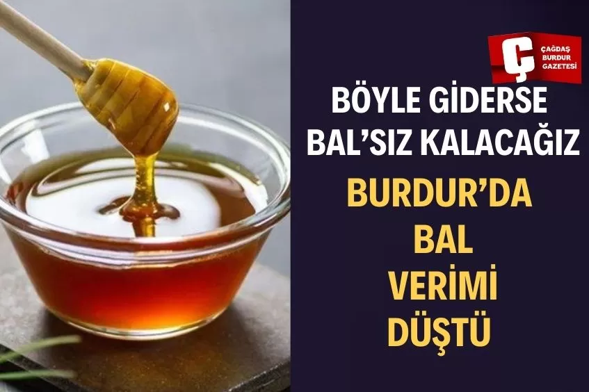 KURAKLIK VE İKLİM DEĞİŞİKLİĞİNİN BURDUR İLİ ARICILIK FAALİYETLERİNE ETKİSİ RAPORU YAYIMLANDI