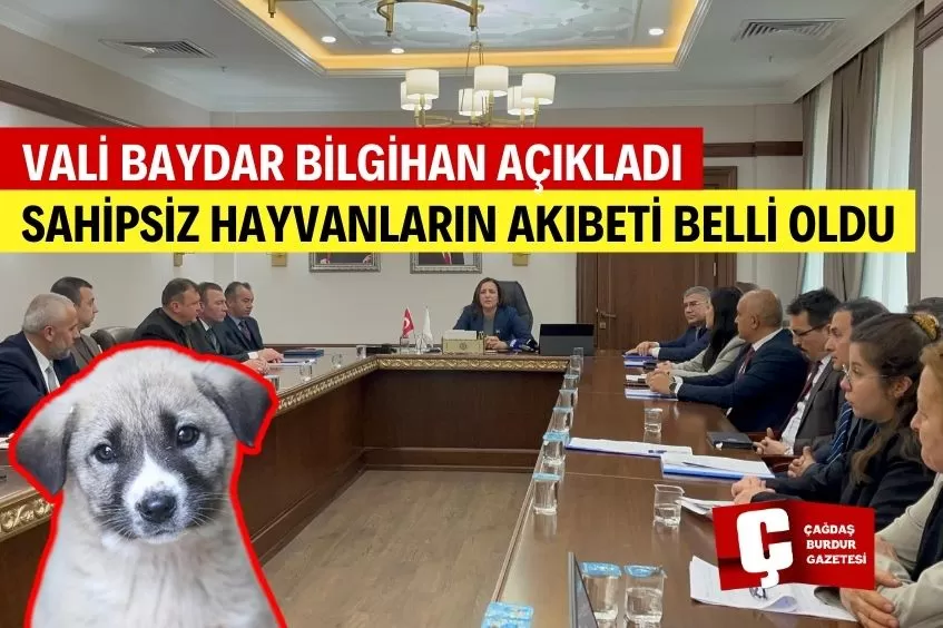 BURDUR'DAKİ SAHİPSİZ HAYVANLARIN AKIBETİ BELLİ OLDU