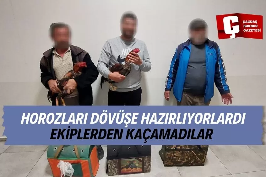 ANTALYA'DA DÖVÜŞE HAZIRLANAN HOROZLAR MUHAFAZA ALTINA ALINDI