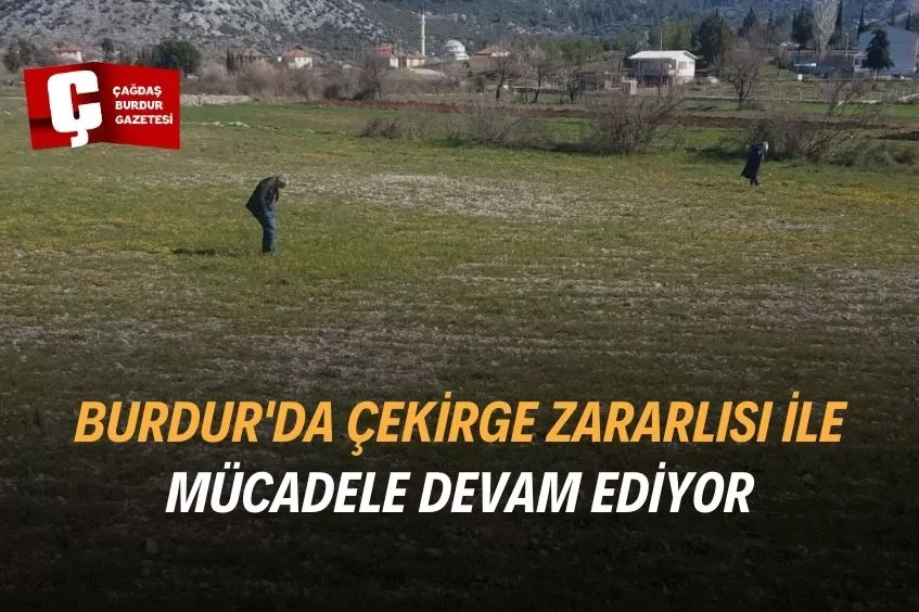 BURDUR'DA ÇEKİRGE ZARARLISI İLE MÜCADELE ÇALIŞMASI GERÇEKLEŞTİRİLDİ