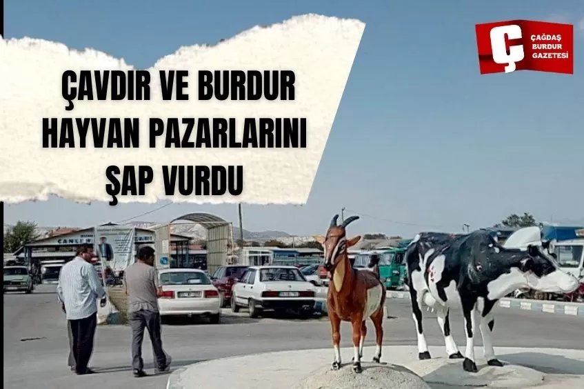 BURDUR VE ÇAVDIR HAYVAN PAZARINI ŞAP VURDU 