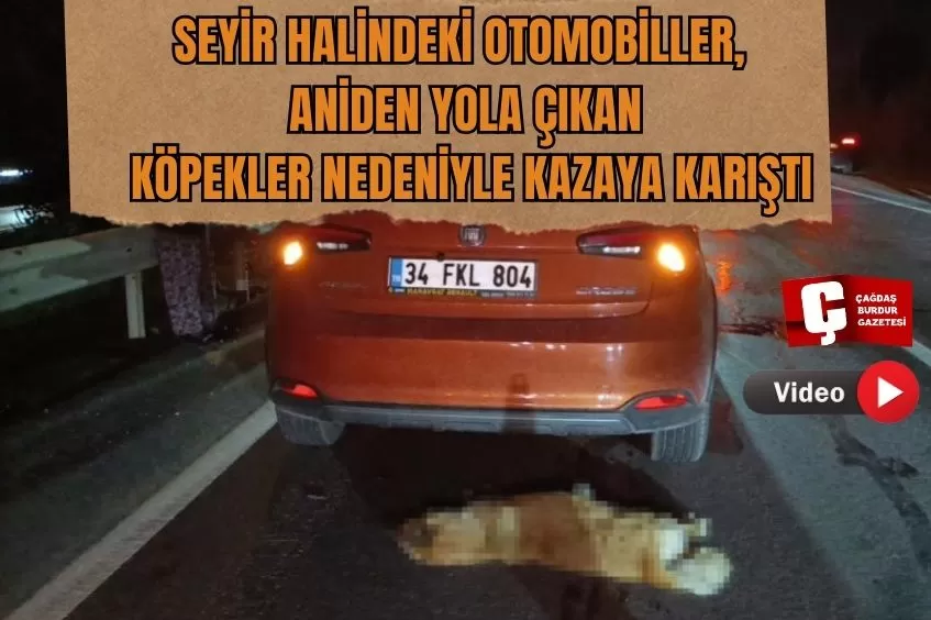 SÜRÜ HALİNDE YOLA FIRLAYAN SOKAK KÖPEKLERİ AYNI ANDA 2 AYRI KAZAYA SEBEP OLDU